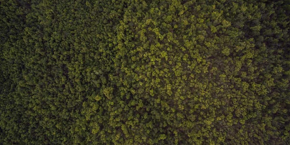 Boost Your Web Performance with a Reliable CDN