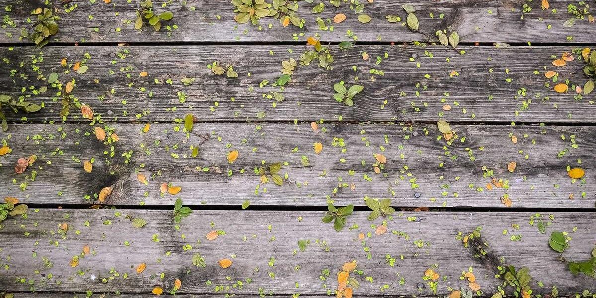 AWS re:Inforce: Security Insights