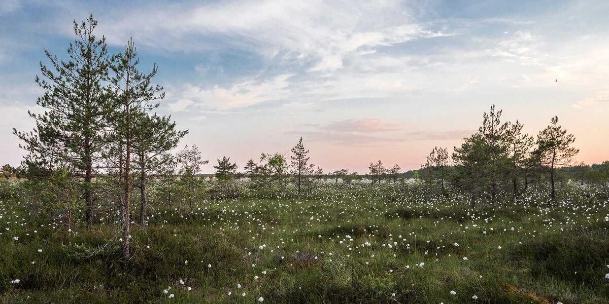 AWS Connect: Call Center Solutions